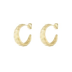 Oorbellen textured hoops