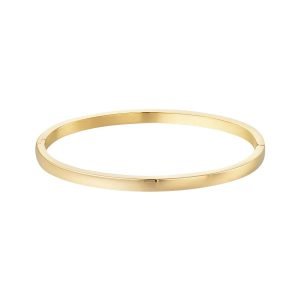 Bangle basic