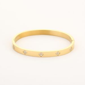 Bangle diamant klavertjes