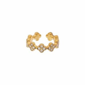 Ring clovers silver