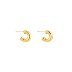 Oorbellen basic mini hoops