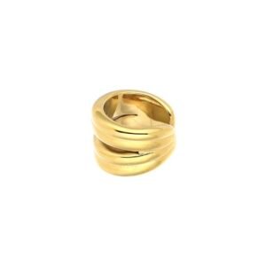 Earcuff dubble bold