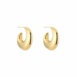 Oorbellen chique thick