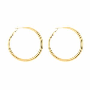Oorbellen hoops chique 5cm